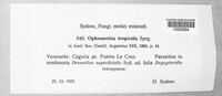 Image Associated With the Occurence
